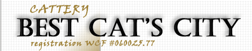 Best Cat's City  Cattery
